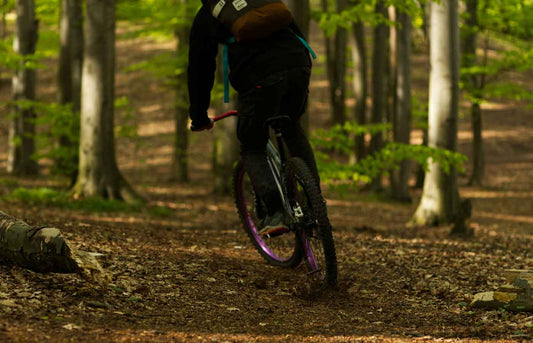 Conquer the Trails – The Ultimate Adventure Awaits! - NORTHEDGE