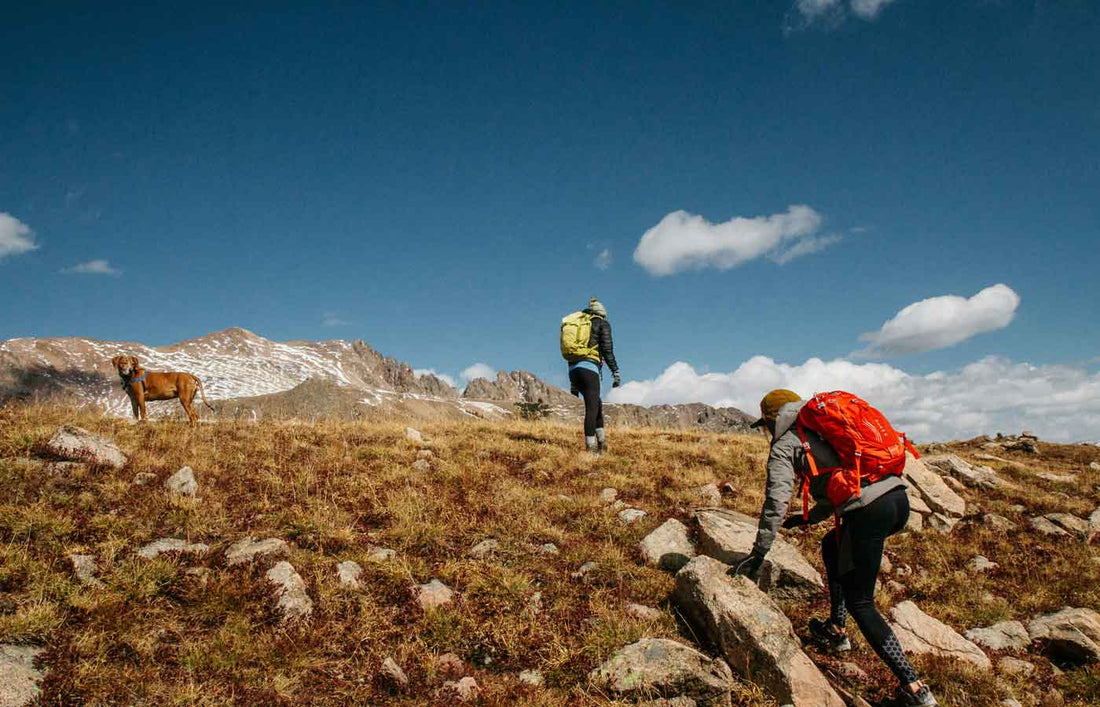Elevate Your Adventure – Conquer the Peaks! - NORTHEDGE