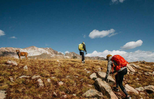 Elevate Your Adventure – Conquer the Peaks! - NORTHEDGE